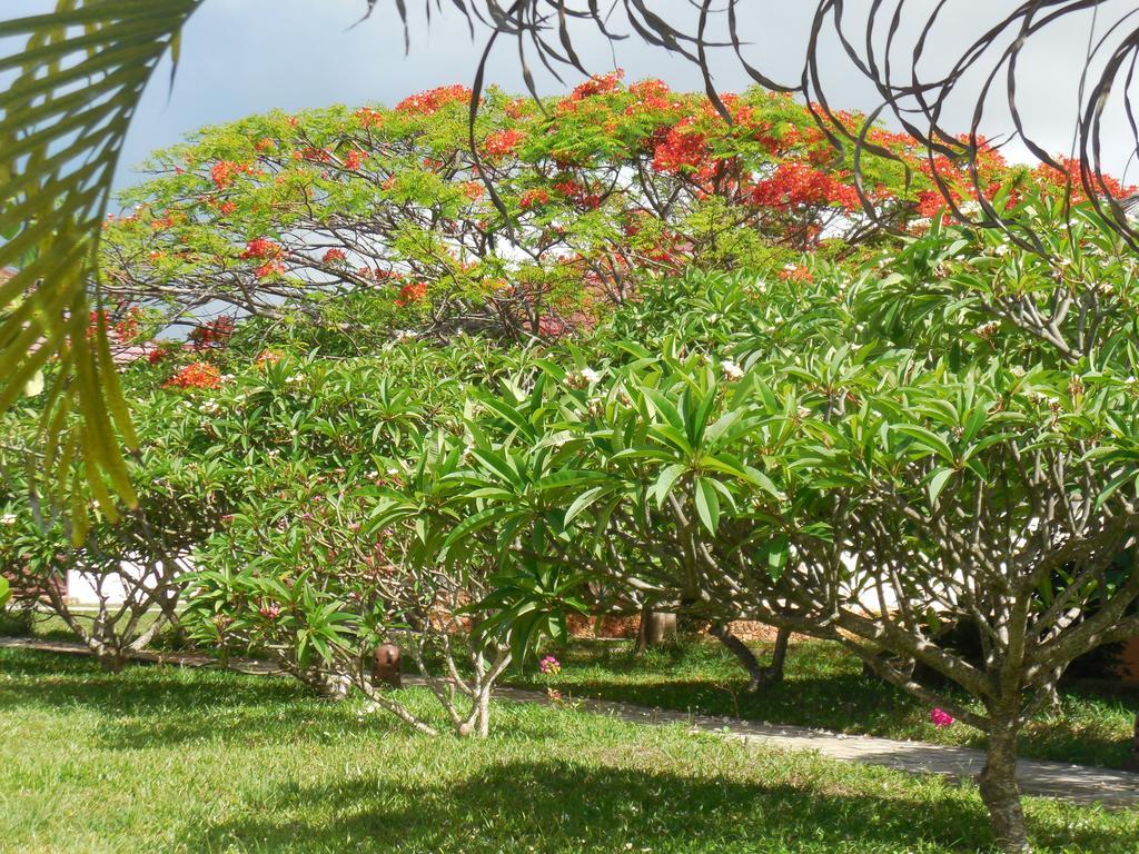 Swahili Beach Resort Zanzibar Luaran gambar